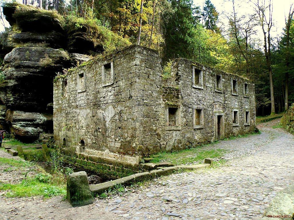 Pension Pod Kastany Srbská Kamenice Buitenkant foto